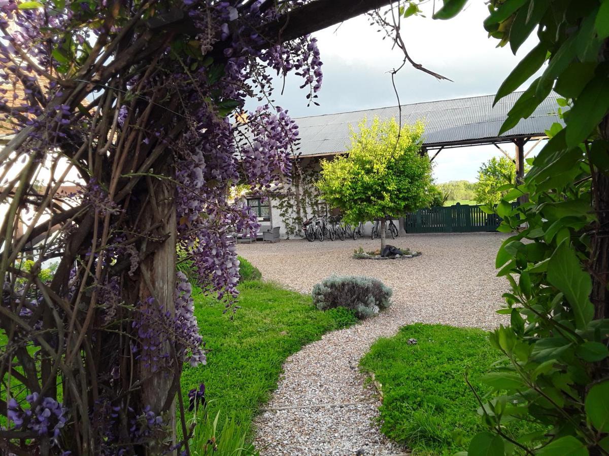 La Belviniere Chambres Et Table D'Hotes Tour-en-Sologne Εξωτερικό φωτογραφία