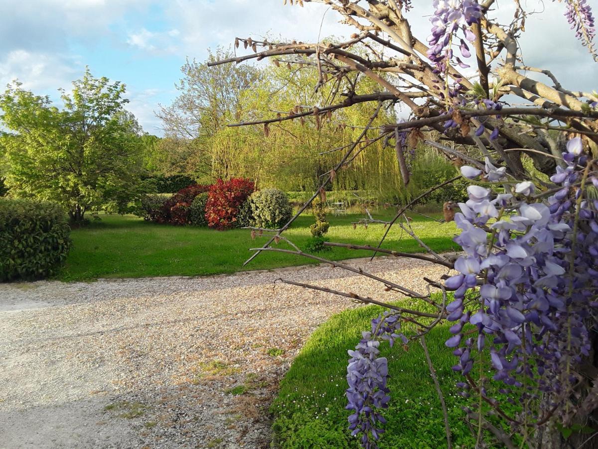 La Belviniere Chambres Et Table D'Hotes Tour-en-Sologne Εξωτερικό φωτογραφία