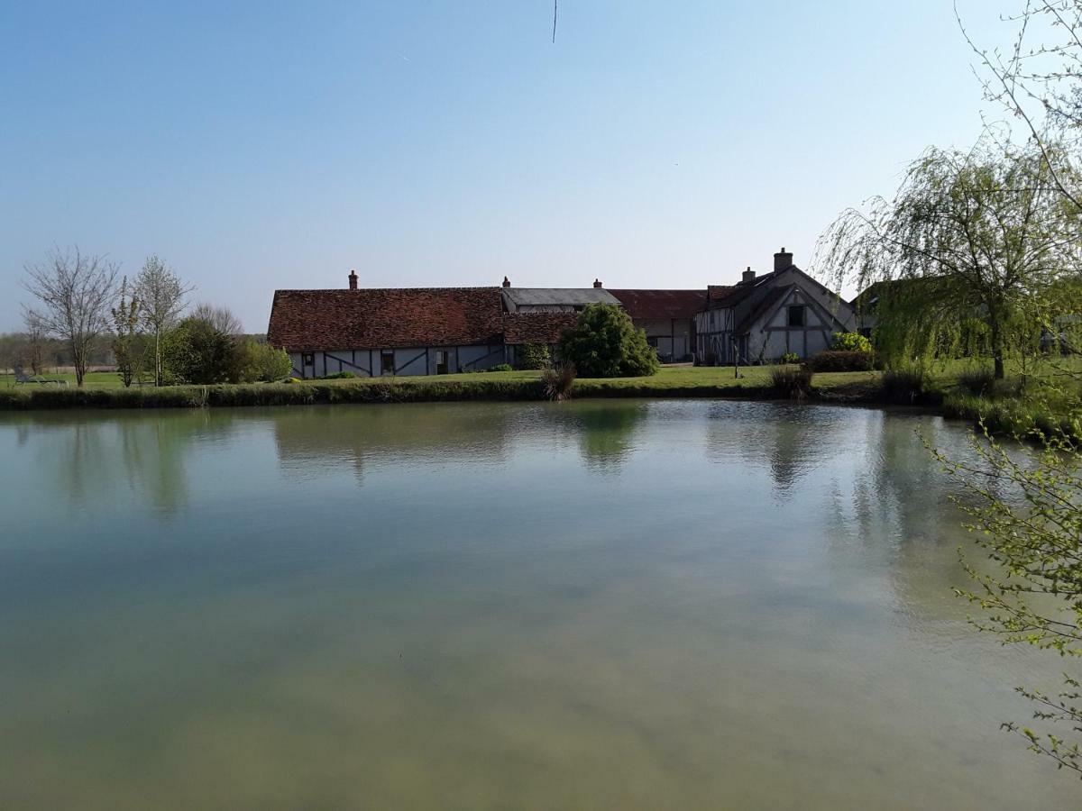 La Belviniere Chambres Et Table D'Hotes Tour-en-Sologne Εξωτερικό φωτογραφία